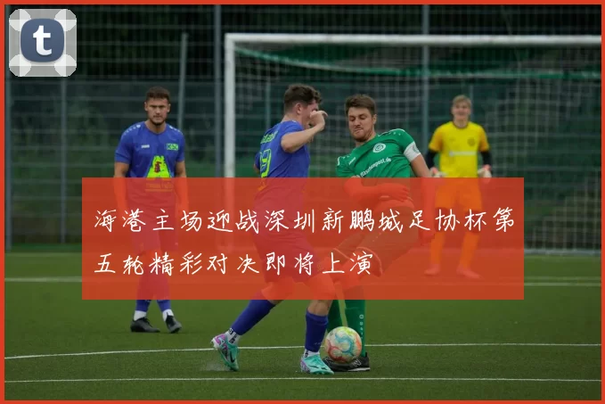 海港主场迎战深圳新鹏城足协杯第五轮精彩对决即将上演